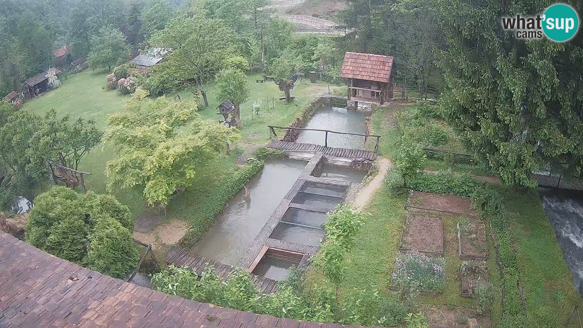 Live webcam Rastoke – river Slunjčica – Croatia