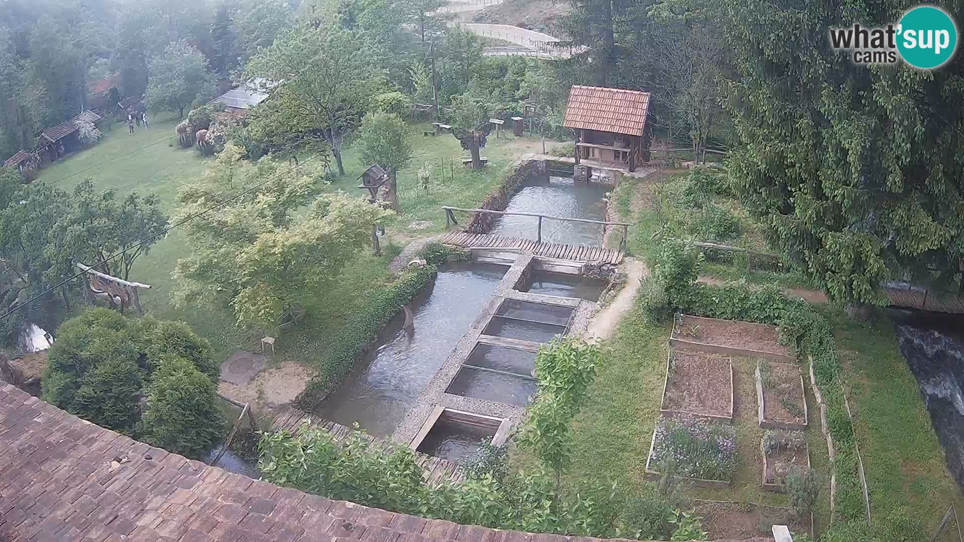 Cámara web en vivo Rastoke – río Slunjčica – Croacia
