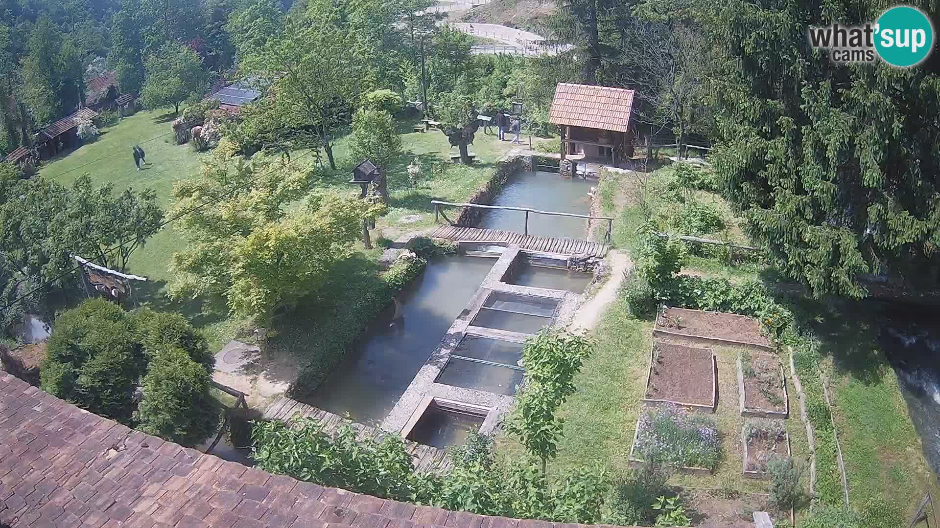 Webcam en direct Rastoke – rivière Slunjčica – Croatie