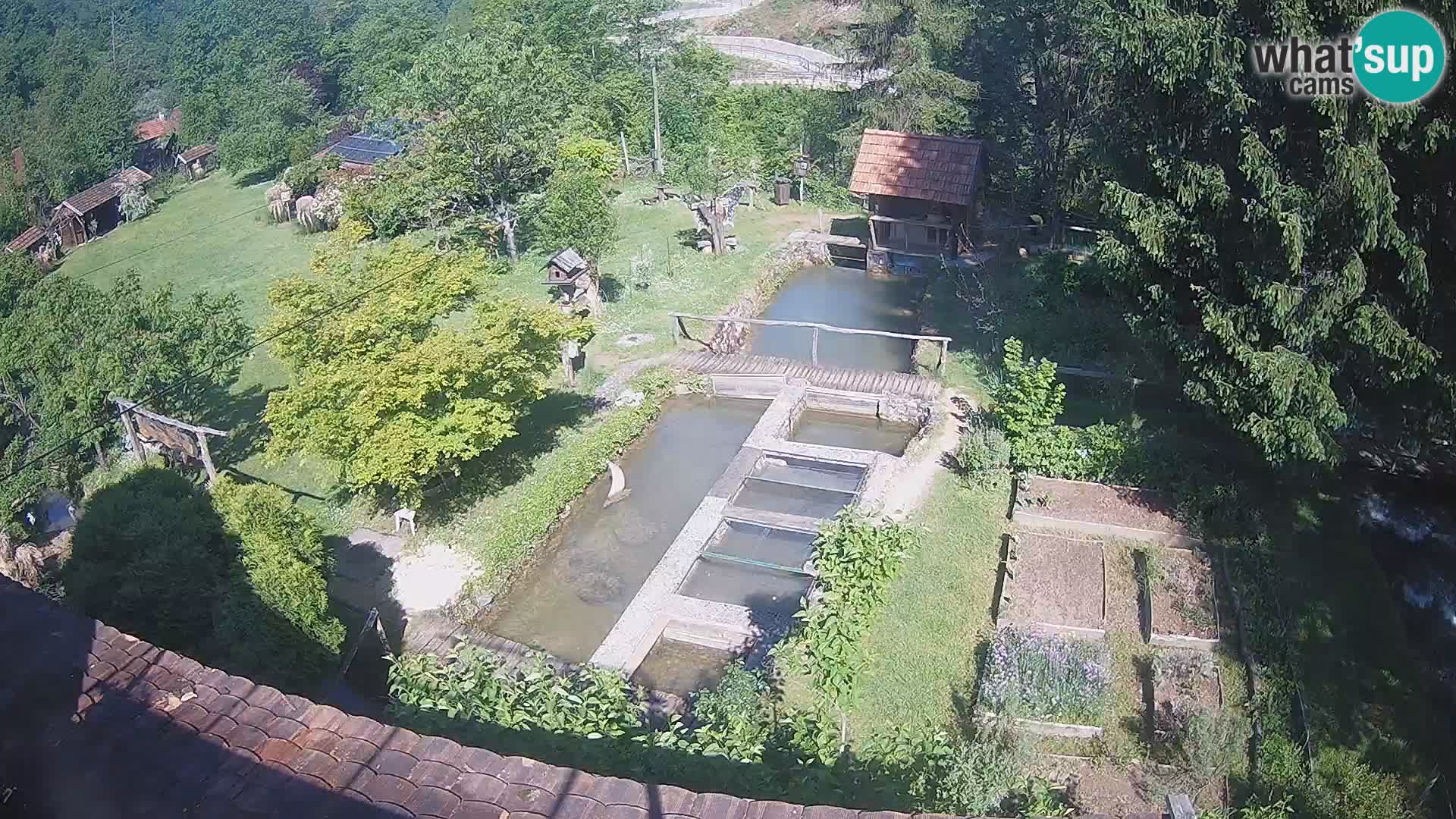 Webcam en direct Rastoke – rivière Slunjčica – Croatie