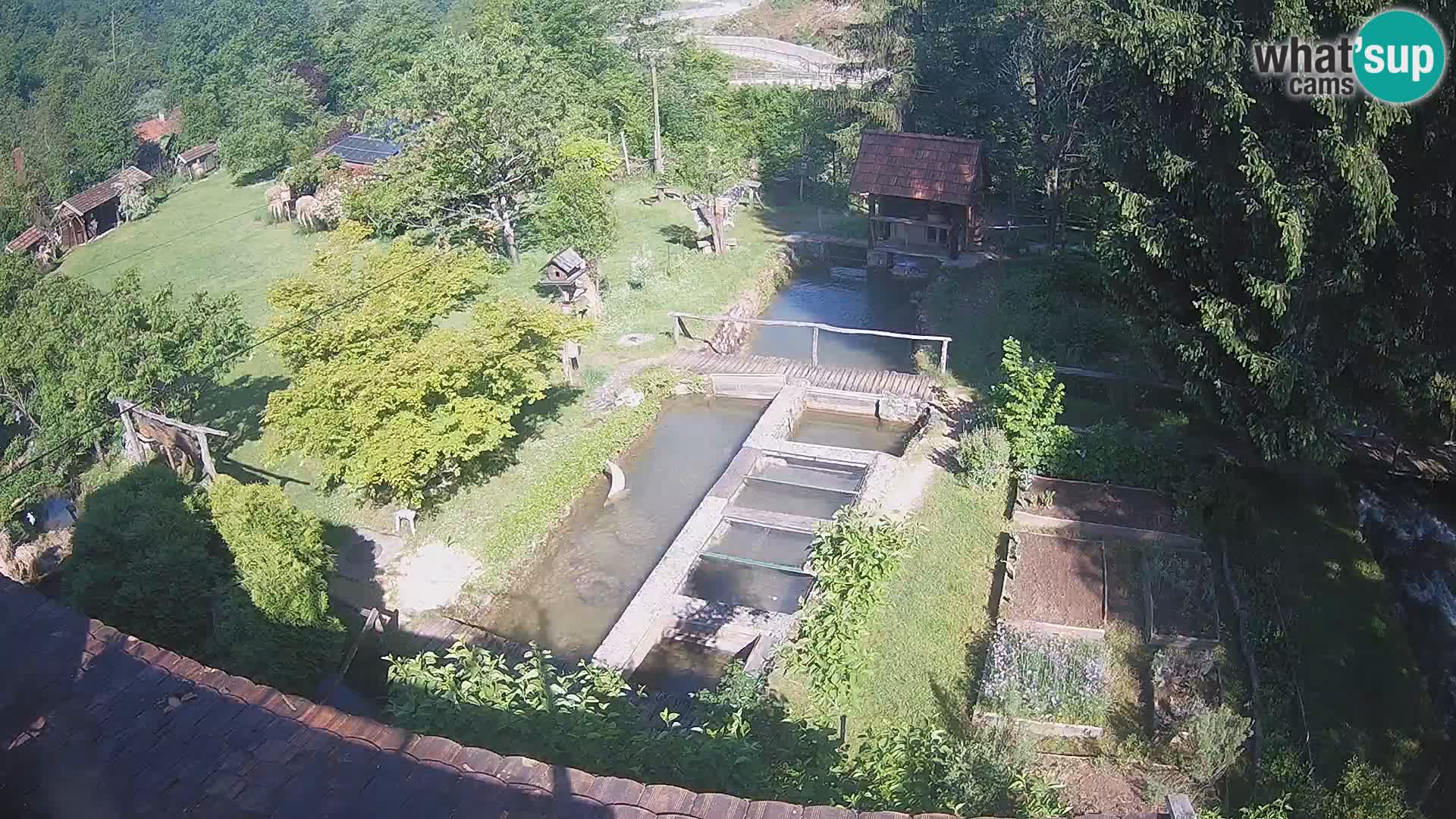 Live-Webcam Rastoke – Fluss Slunjčica – Kroatien