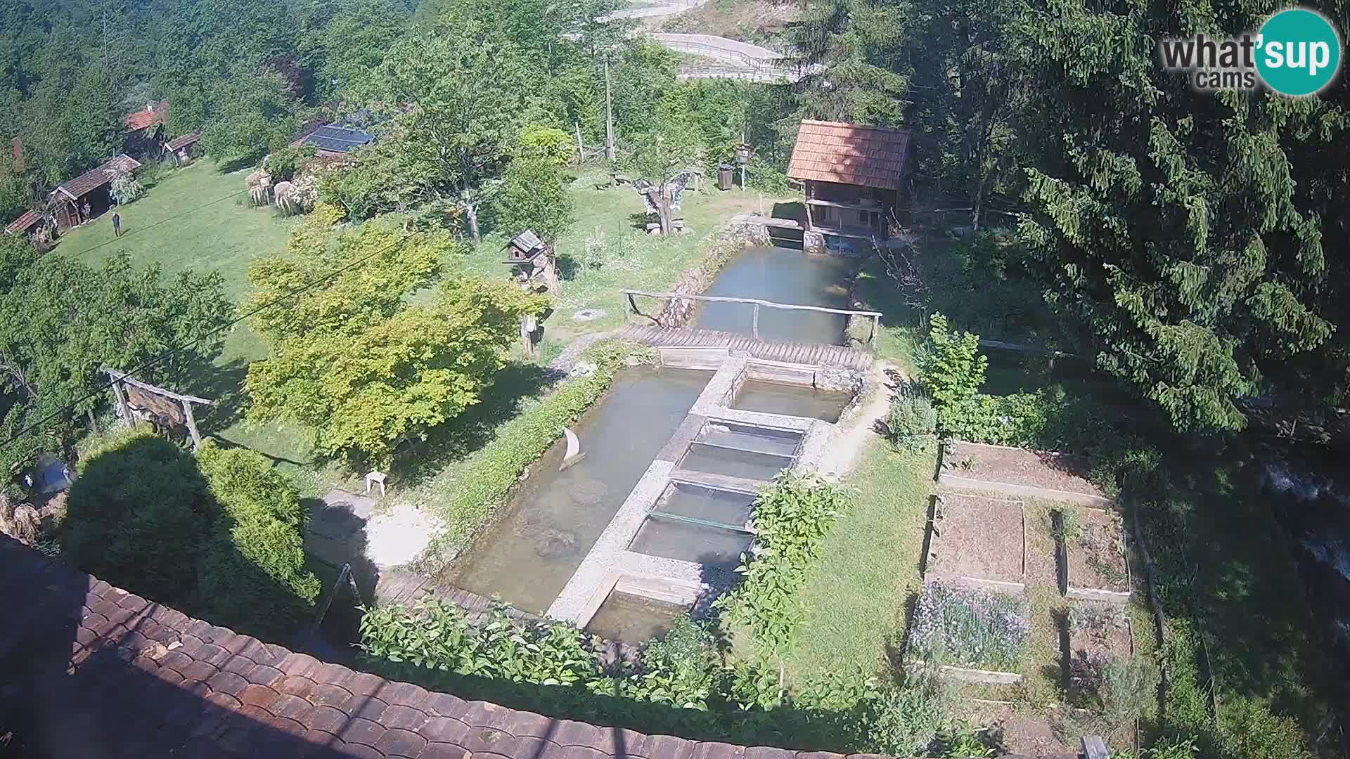 Spletna kamera v živo Rastoke – reka Slunjčica – Hrvaška
