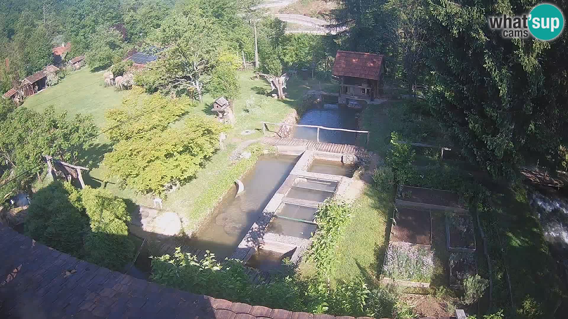 Live webcam Rastoke – fiume Slunjčica – Croazia