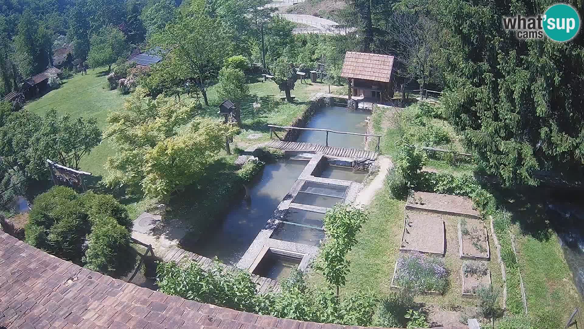 Cámara web en vivo Rastoke – río Slunjčica – Croacia