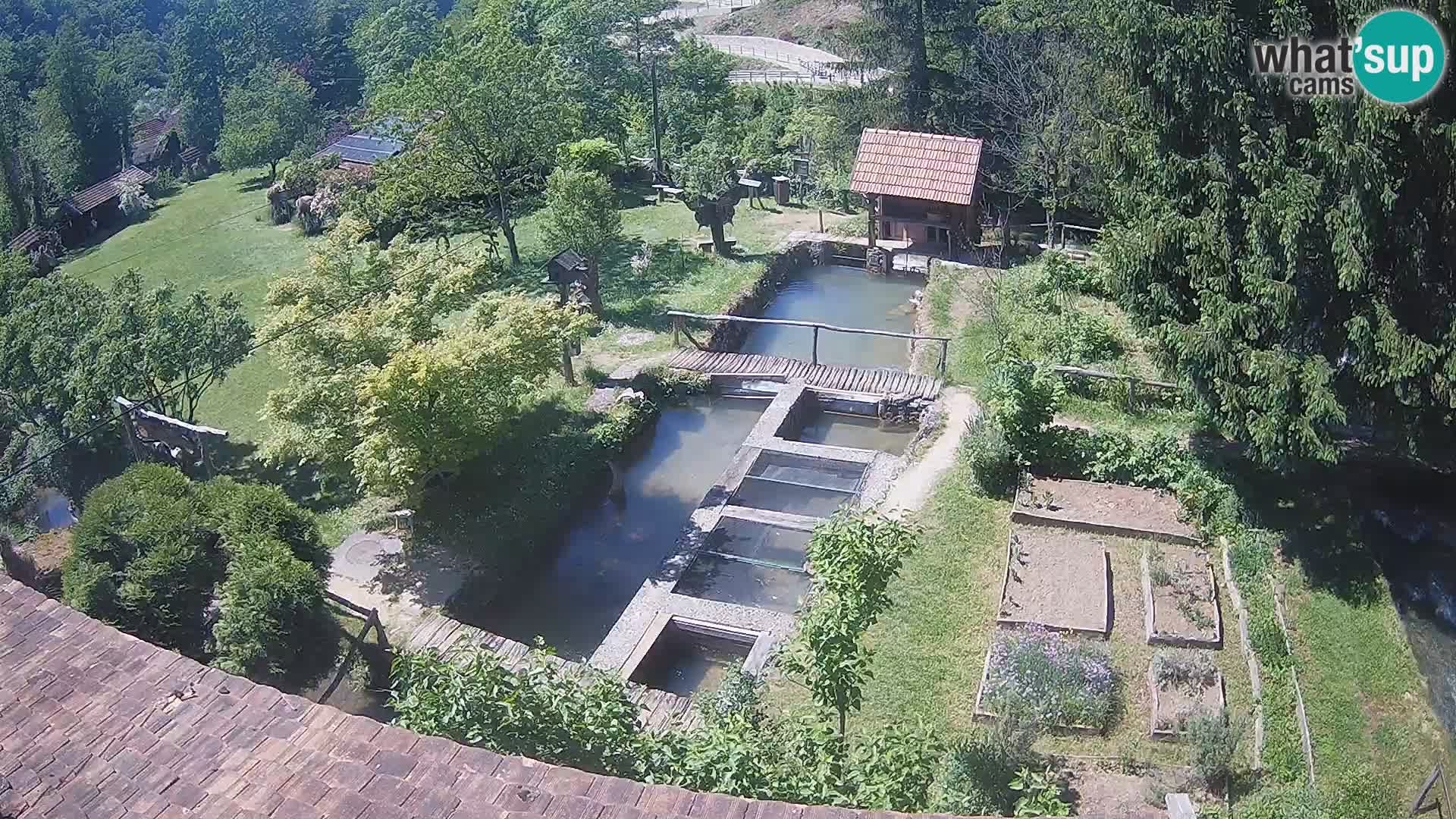Live-Webcam Rastoke – Fluss Slunjčica – Kroatien