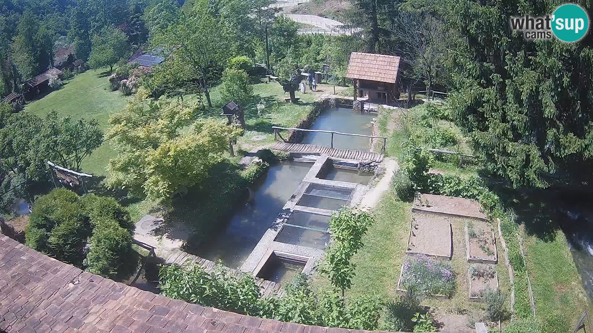 Live webcam Rastoke – fiume Slunjčica – Croazia