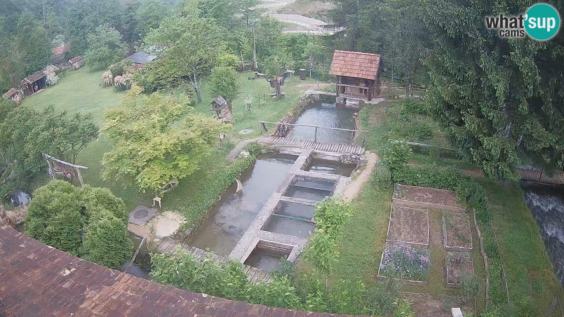 Live-Webcam Rastoke – Fluss Slunjčica – Kroatien