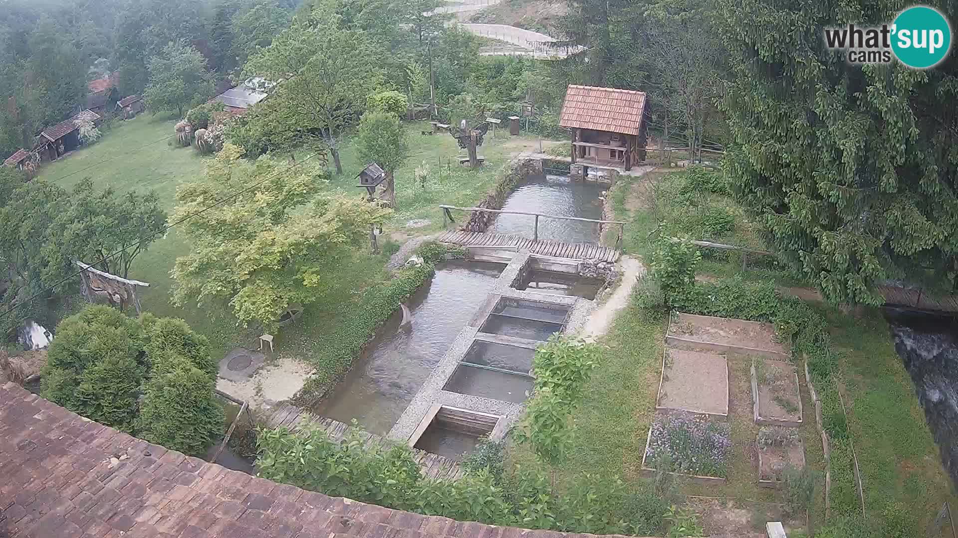 Live-Webcam Rastoke – Fluss Slunjčica – Kroatien