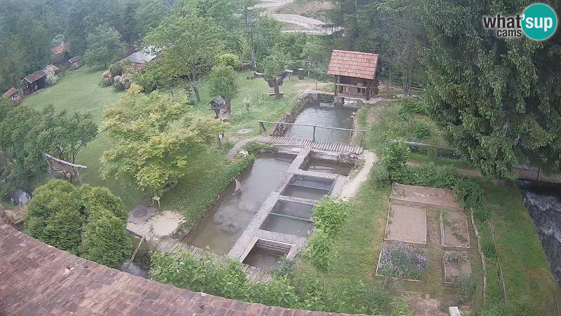 Live webcam Rastoke – fiume Slunjčica – Croazia