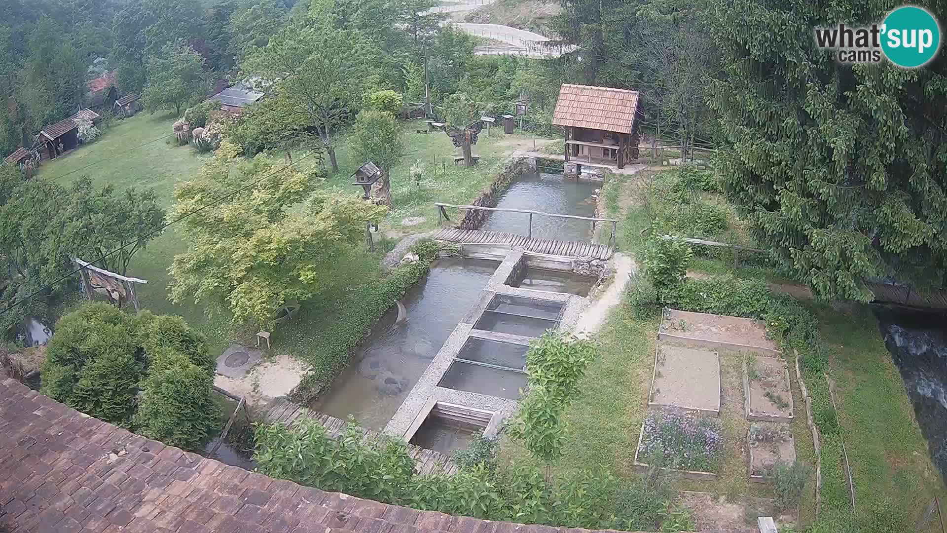 Live webcam Rastoke – river Slunjčica – Croatia