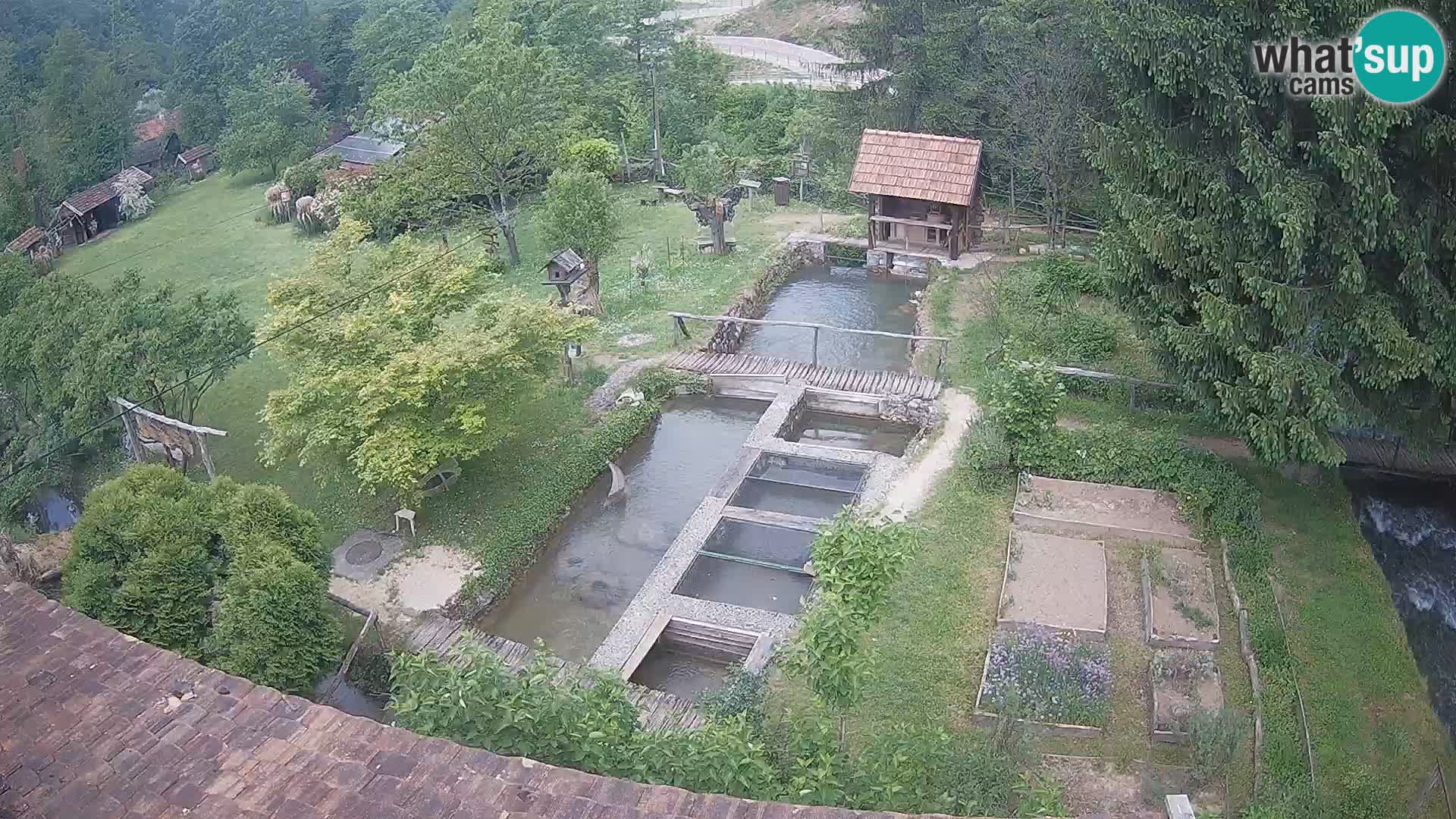 Live webcam Rastoke – fiume Slunjčica – Croazia