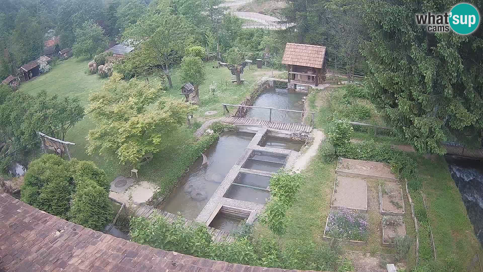 Live webcam Rastoke – river Slunjčica – Croatia
