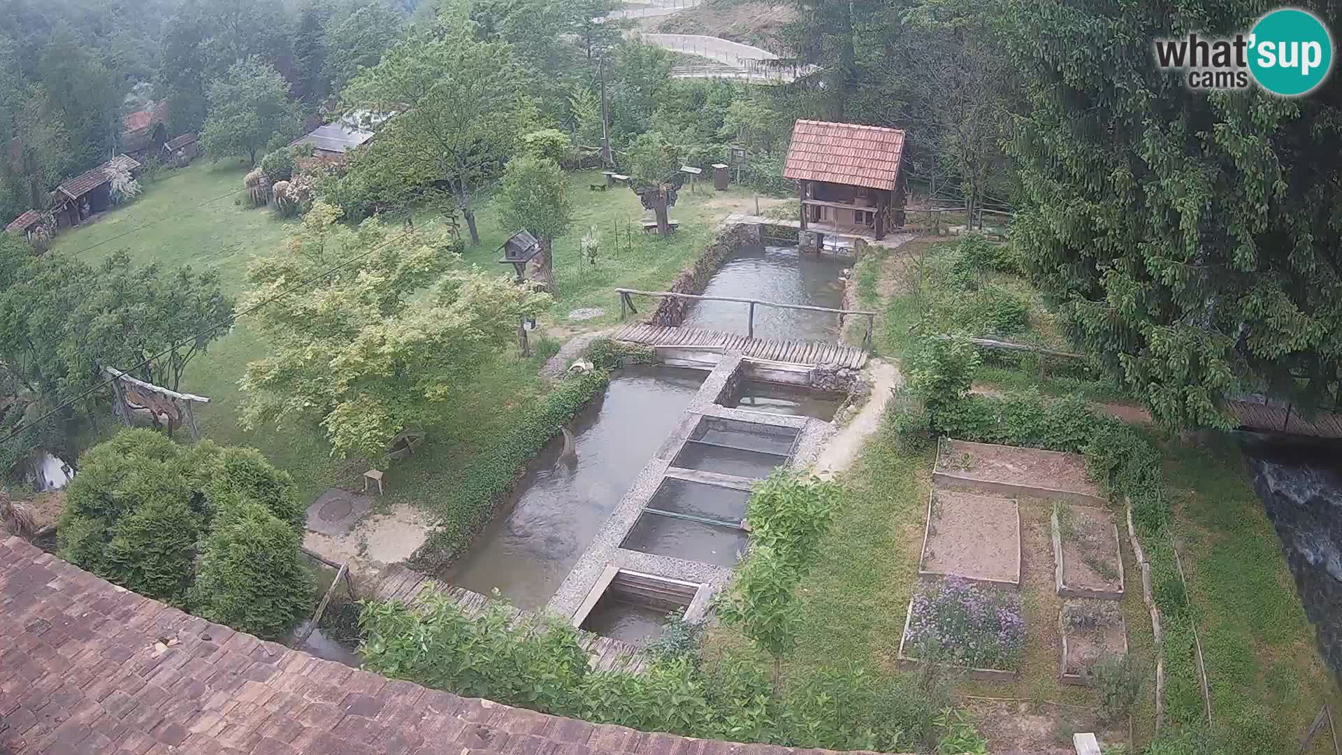 Live-Webcam Rastoke – Fluss Slunjčica – Kroatien