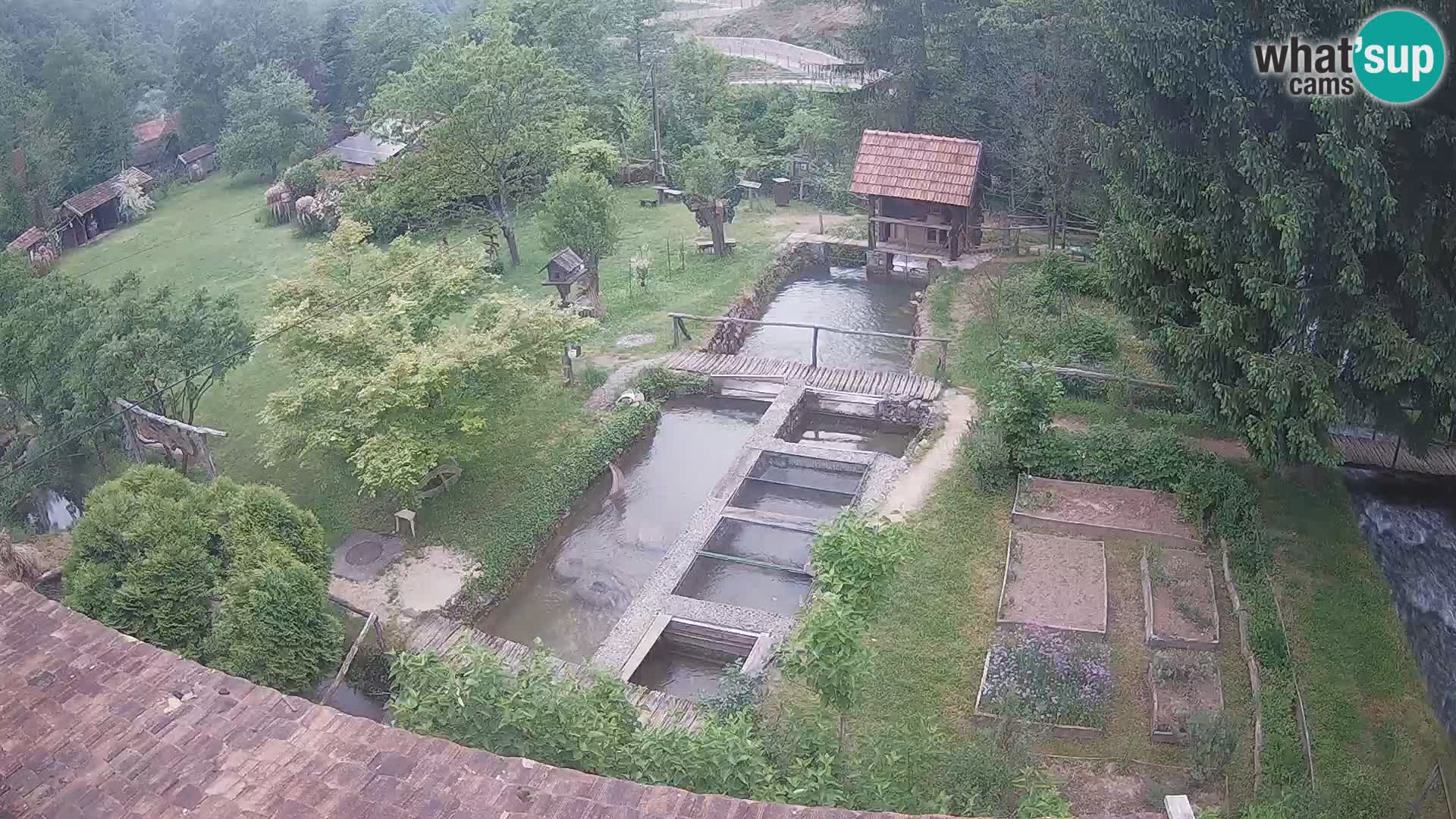 Spletna kamera v živo Rastoke – reka Slunjčica – Hrvaška