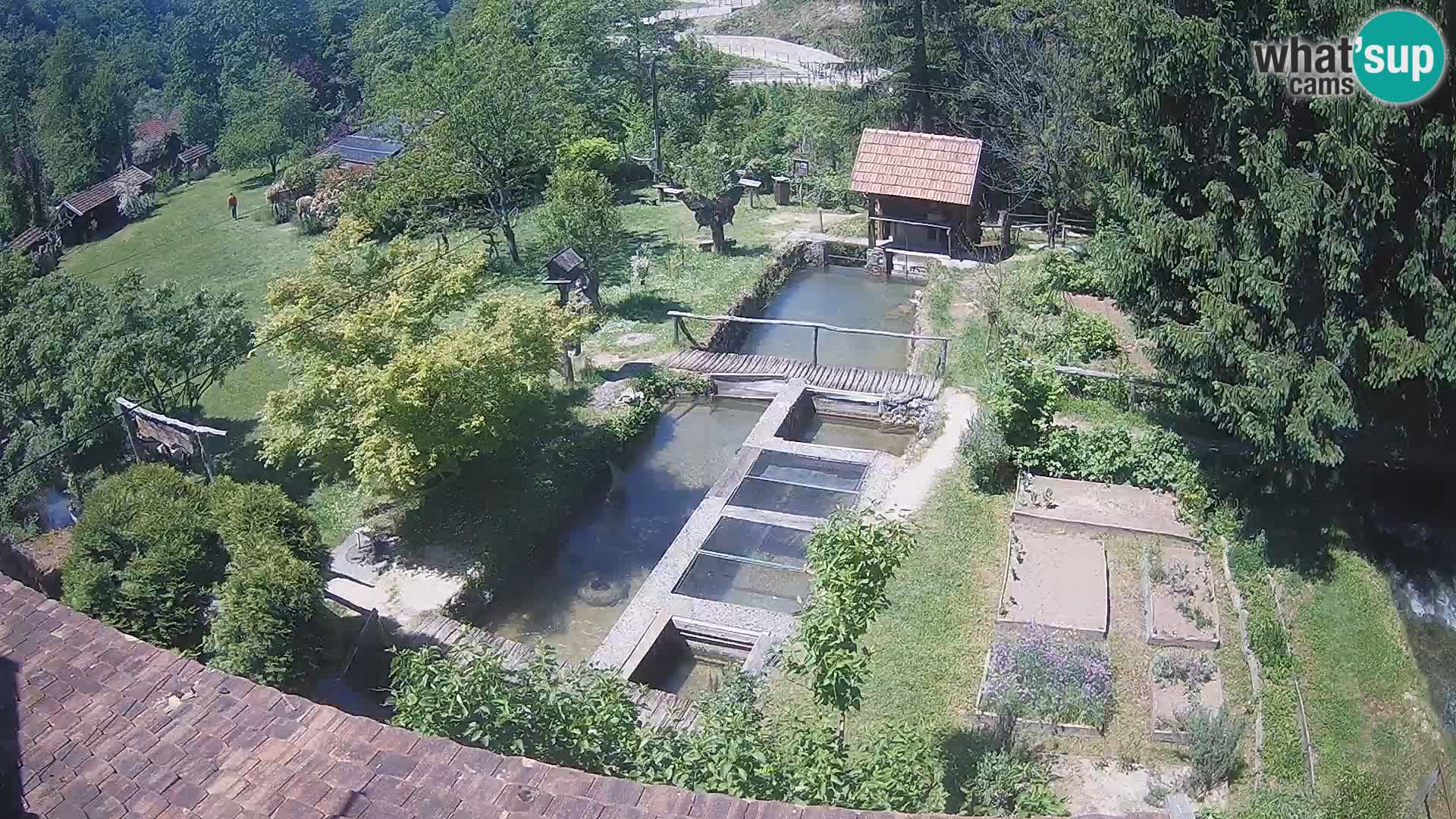 Live-Webcam Rastoke – Fluss Slunjčica – Kroatien