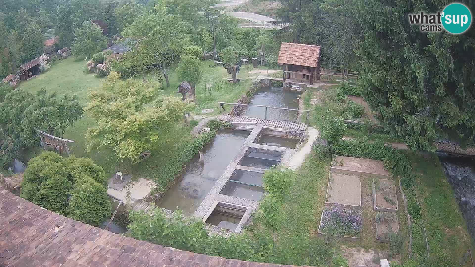 Cámara web en vivo Rastoke – río Slunjčica – Croacia