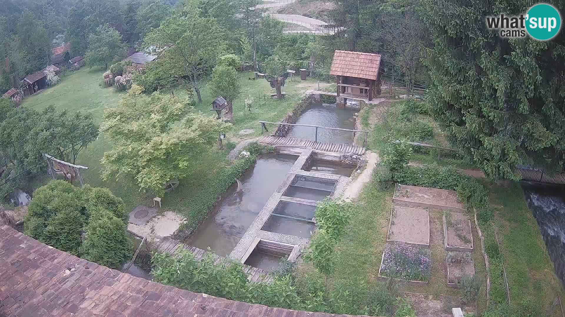 Live webcam Rastoke – fiume Slunjčica – Croazia