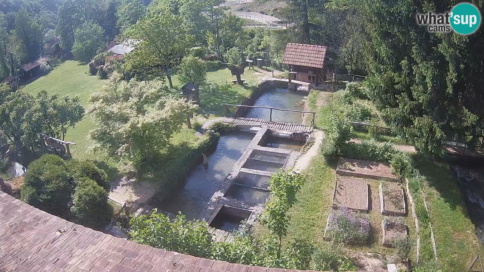 Webcam en direct Rastoke – rivière Slunjčica – Croatie