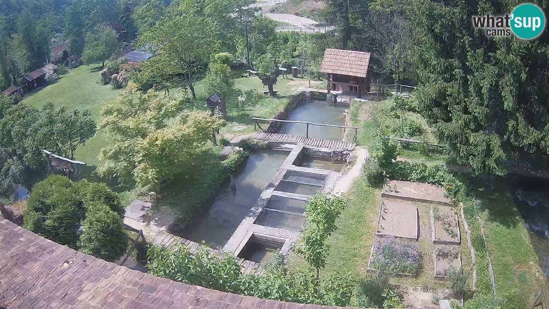Spletna kamera v živo Rastoke – reka Slunjčica – Hrvaška