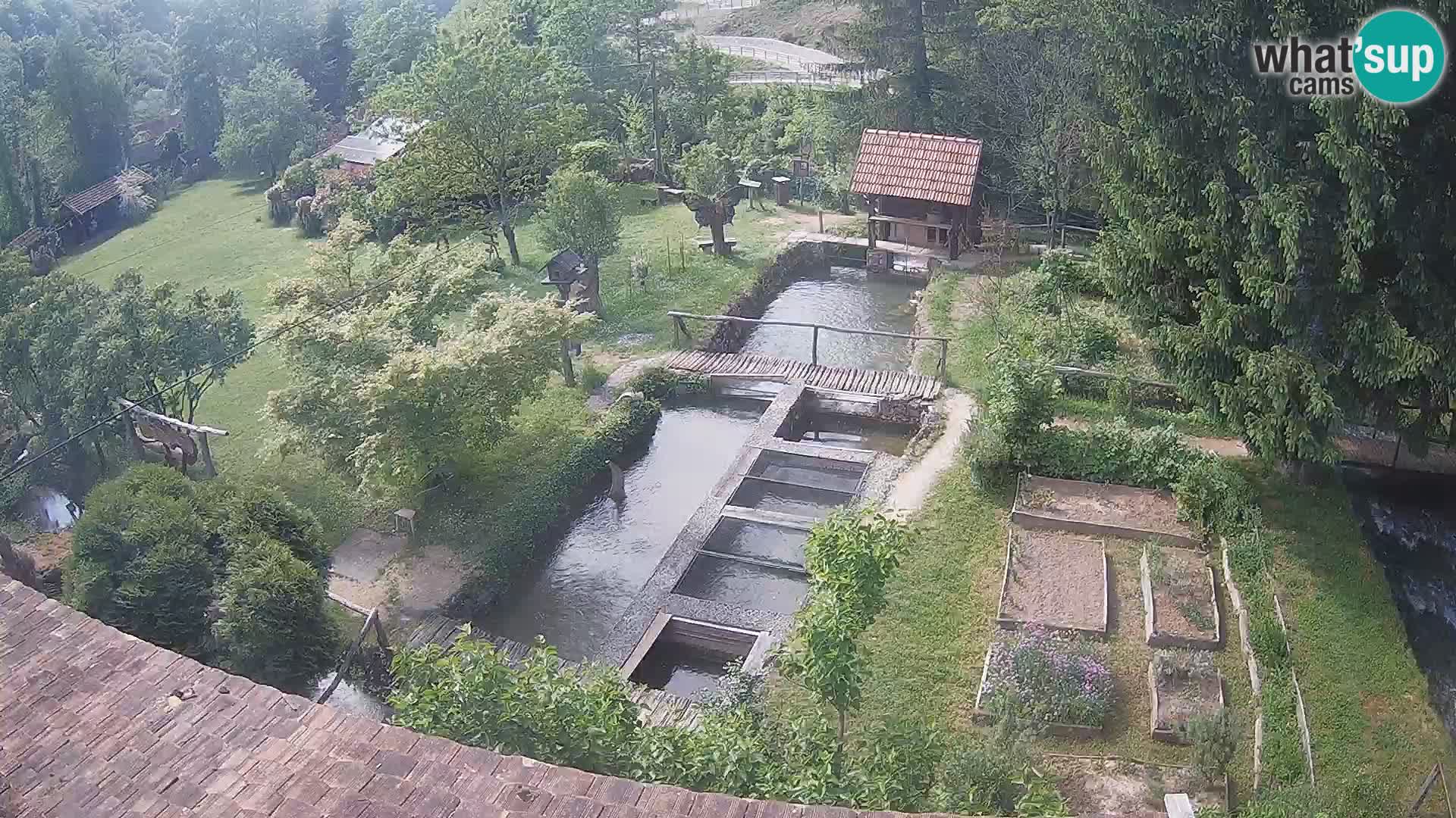 Live-Webcam Rastoke – Fluss Slunjčica – Kroatien