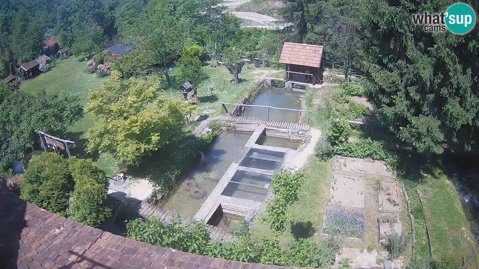 Live-Webcam Rastoke – Fluss Slunjčica – Kroatien