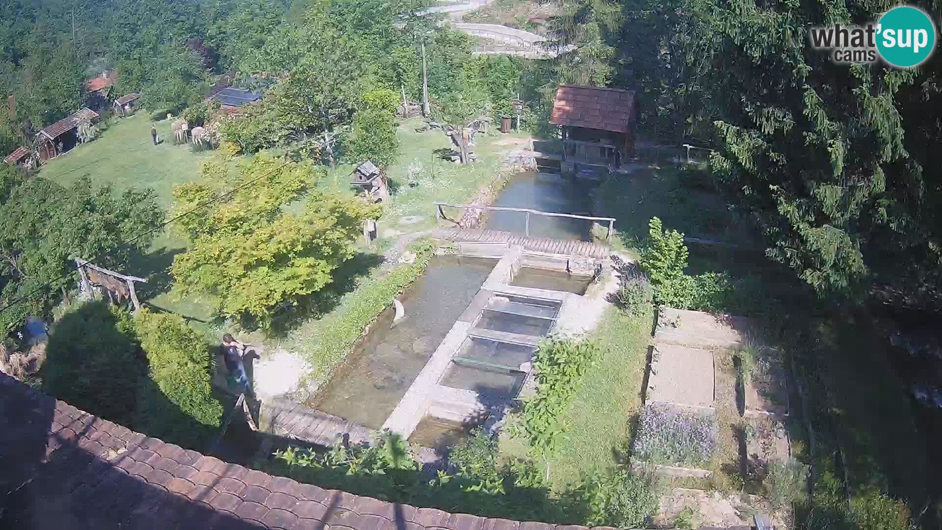 Live-Webcam Rastoke – Fluss Slunjčica – Kroatien