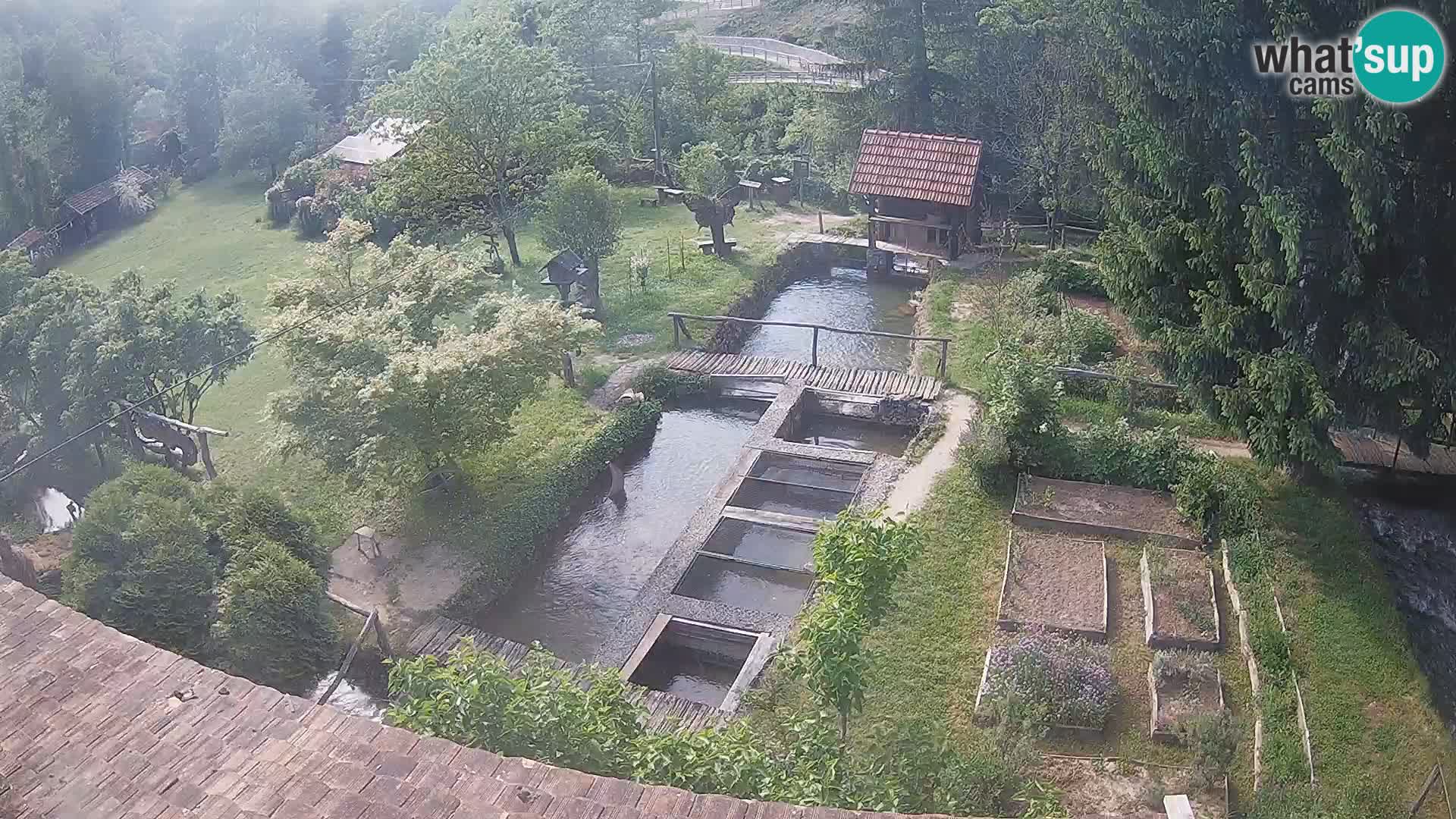 Cámara web en vivo Rastoke – río Slunjčica – Croacia