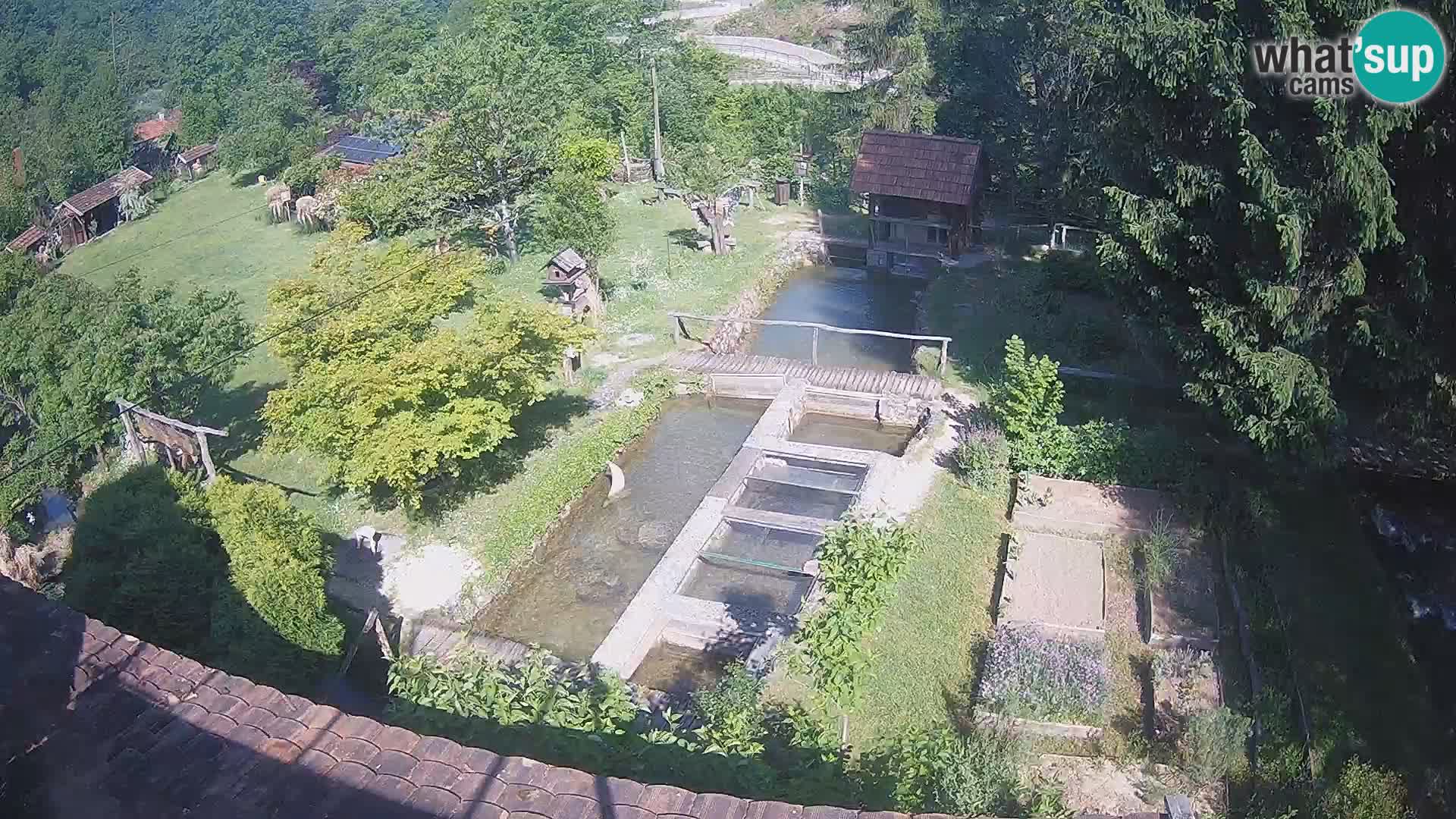 Live-Webcam Rastoke – Fluss Slunjčica – Kroatien
