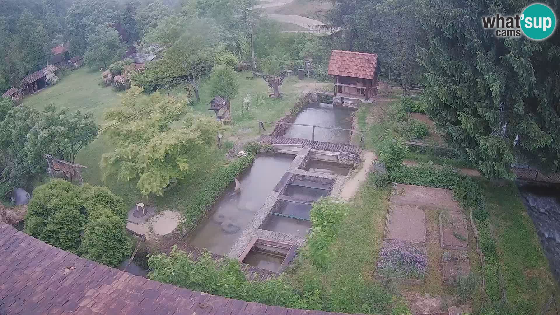 Live-Webcam Rastoke – Fluss Slunjčica – Kroatien
