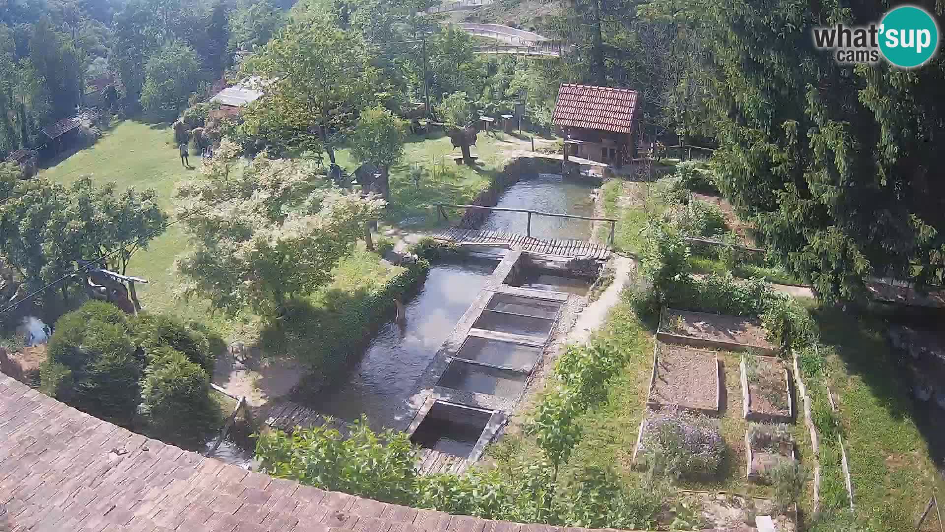 Live webcam Rastoke – river Slunjčica – Croatia