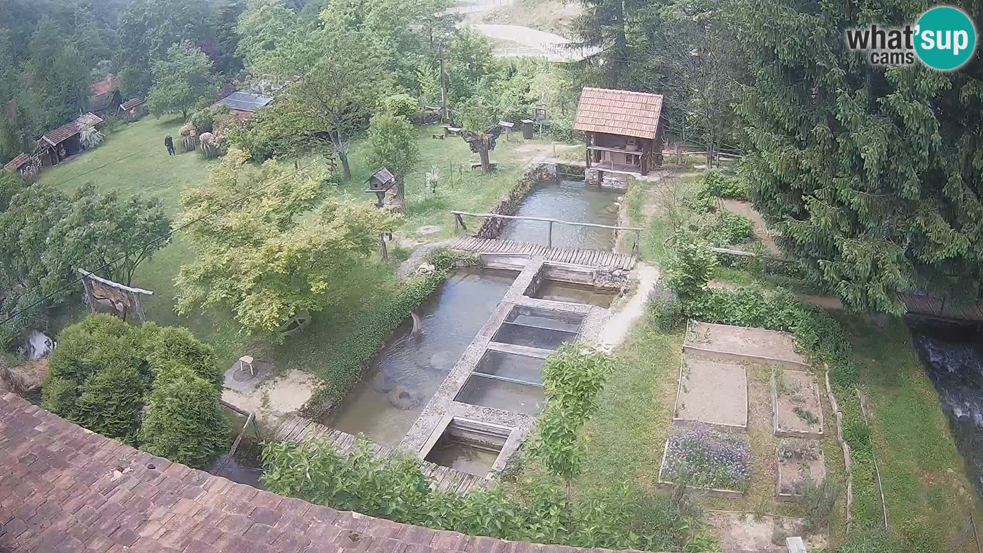 Live webcam Rastoke – fiume Slunjčica – Croazia