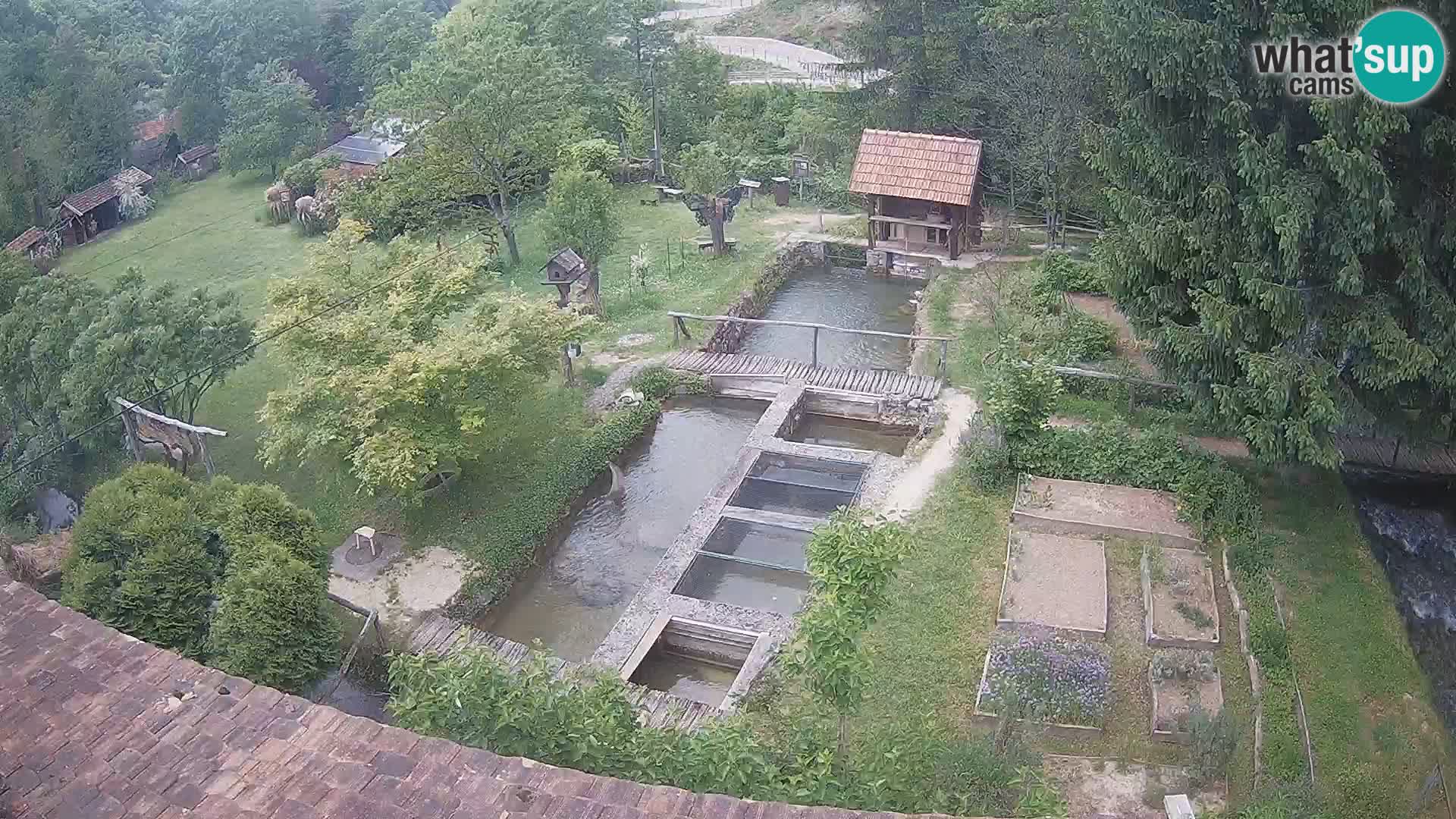 Live webcam Rastoke – fiume Slunjčica – Croazia