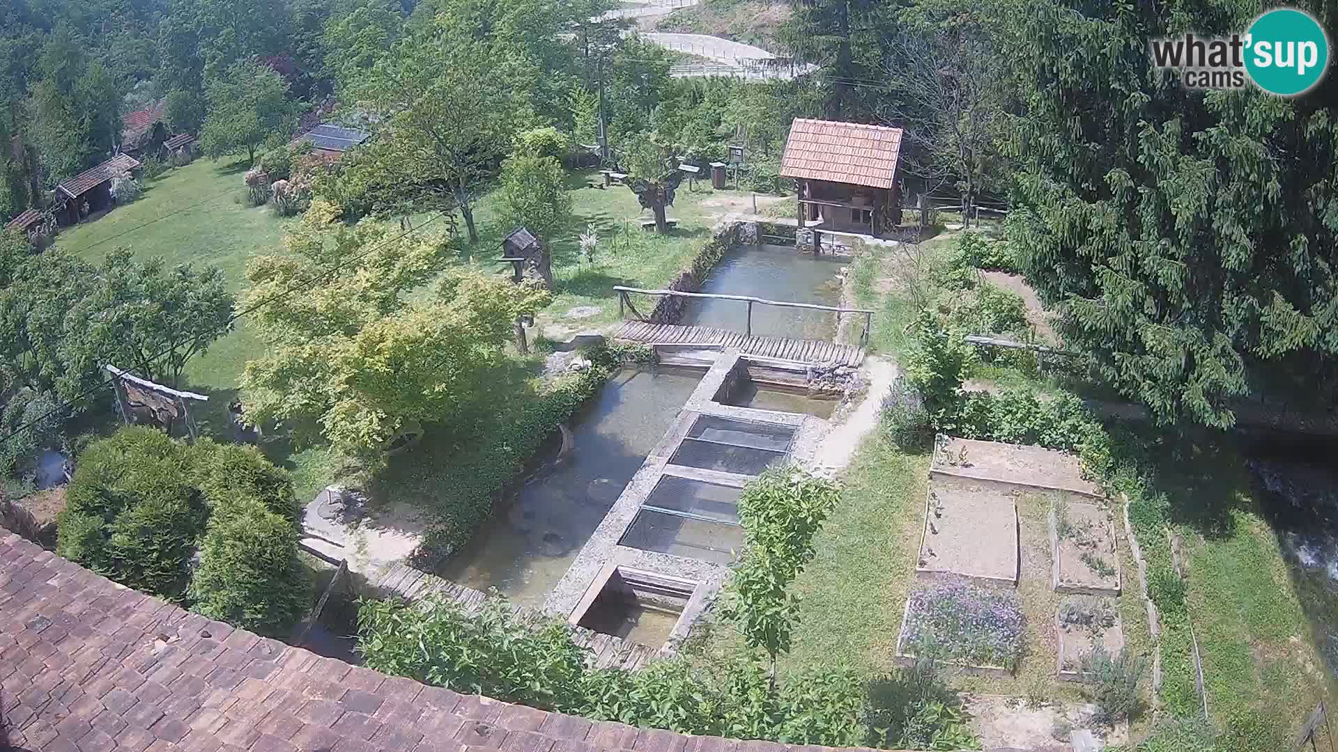 Web kamera uživo Rastoke – rijeka Slunjčica – Hrvatska