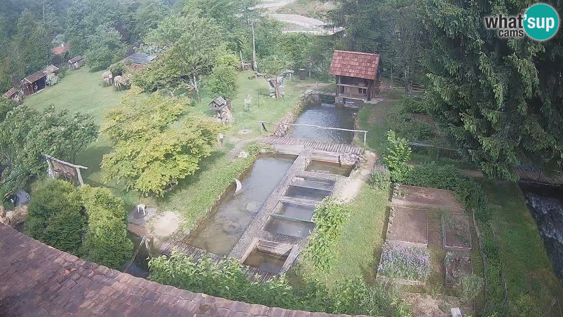Live webcam Rastoke – fiume Slunjčica – Croazia