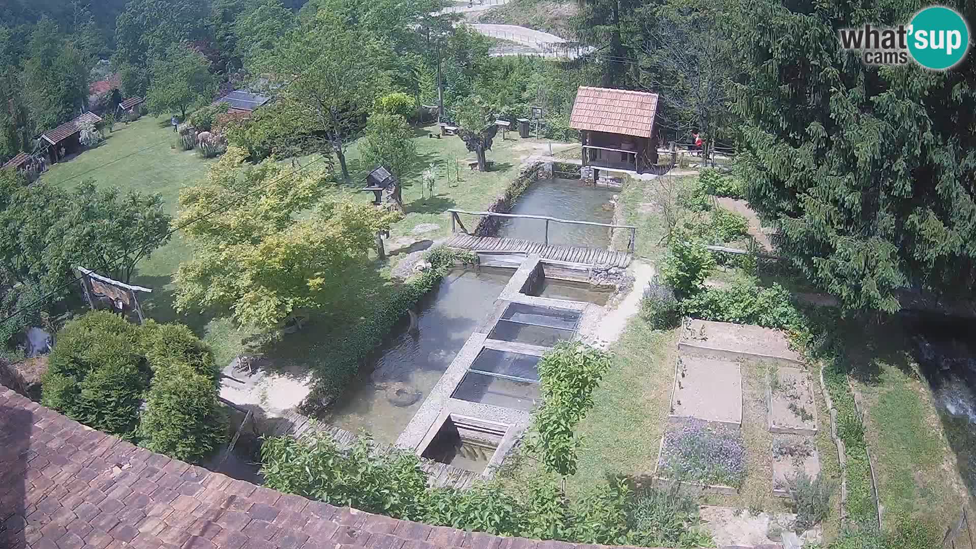 Cámara web en vivo Rastoke – río Slunjčica – Croacia