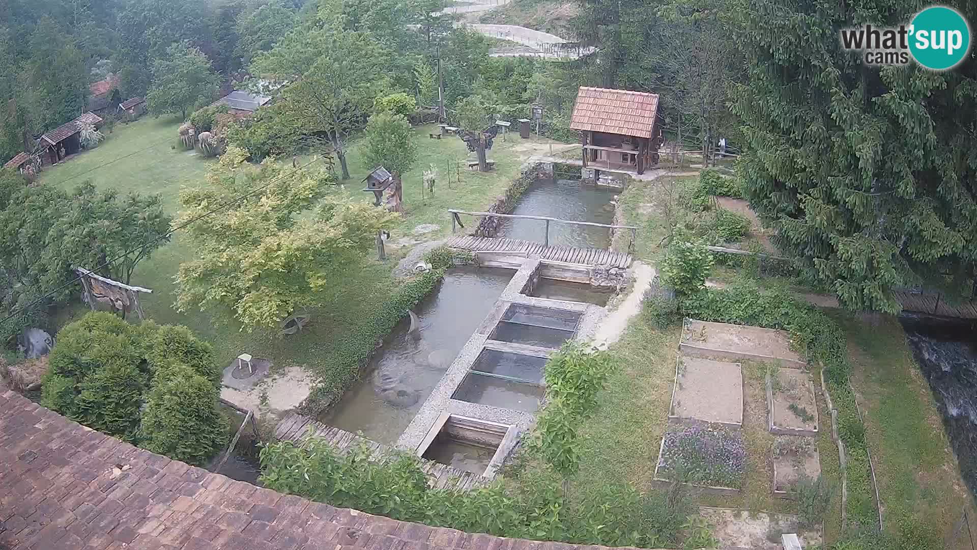 Live webcam Rastoke – fiume Slunjčica – Croazia