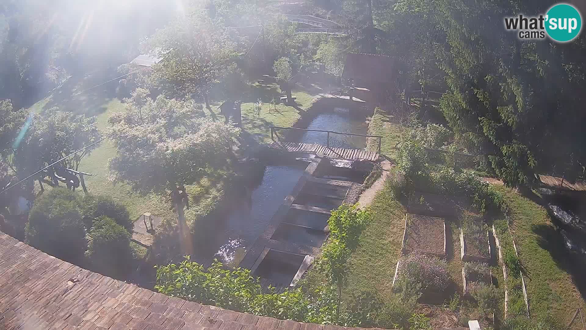 Live webcam Rastoke – river Slunjčica – Croatia