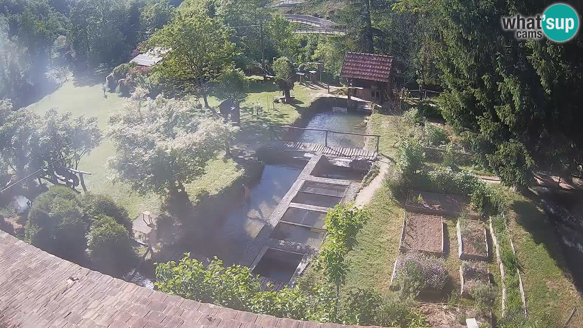 Spletna kamera v živo Rastoke – reka Slunjčica – Hrvaška