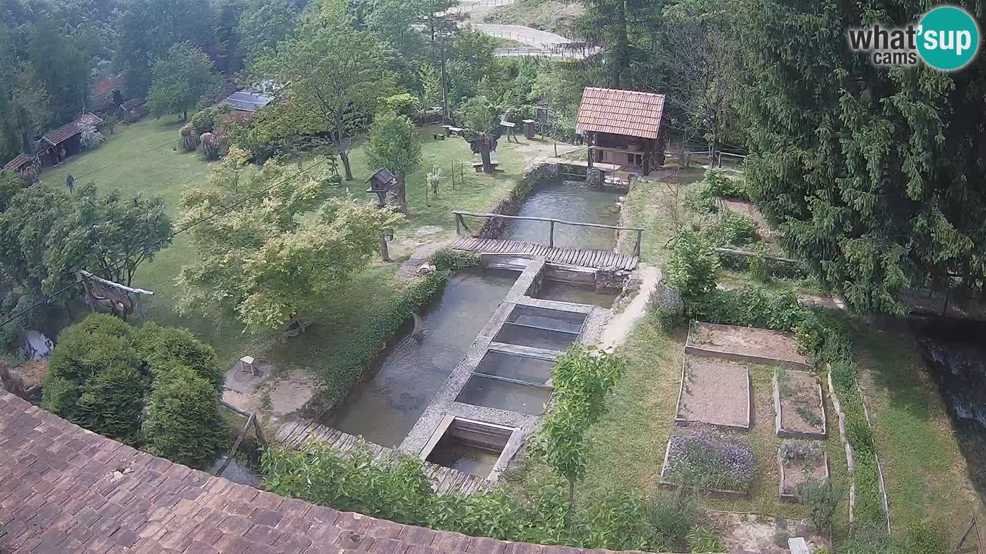 Live webcam Rastoke – fiume Slunjčica – Croazia