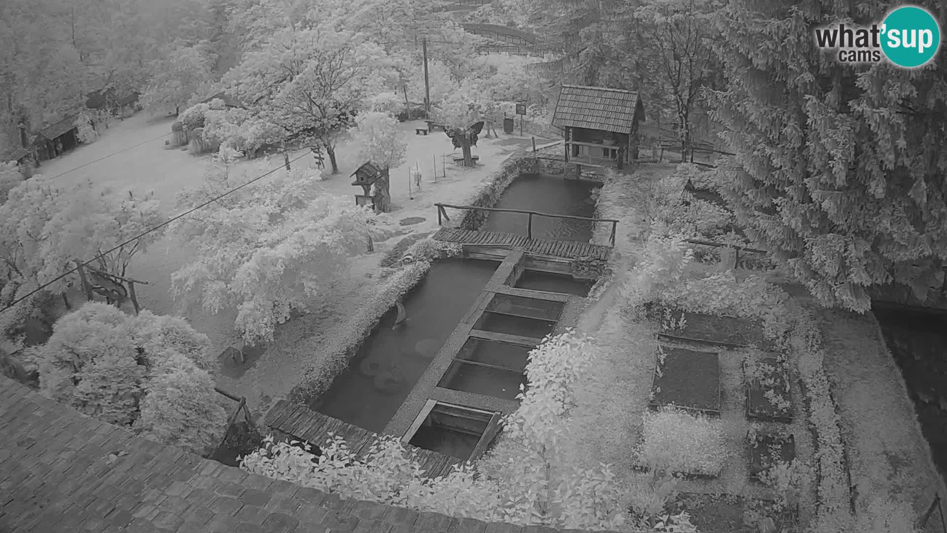 Cámara web en vivo Rastoke – río Slunjčica – Croacia