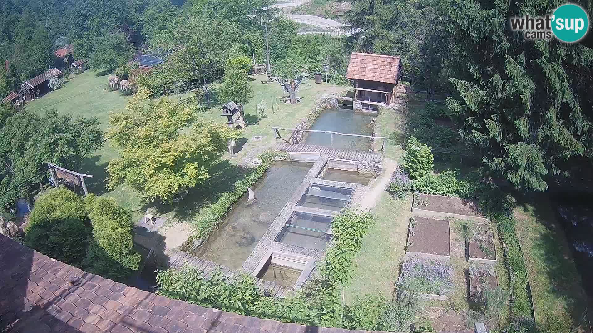 Live-Webcam Rastoke – Fluss Slunjčica – Kroatien