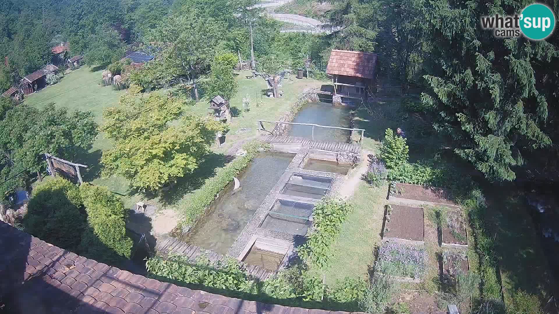 Spletna kamera v živo Rastoke – reka Slunjčica – Hrvaška