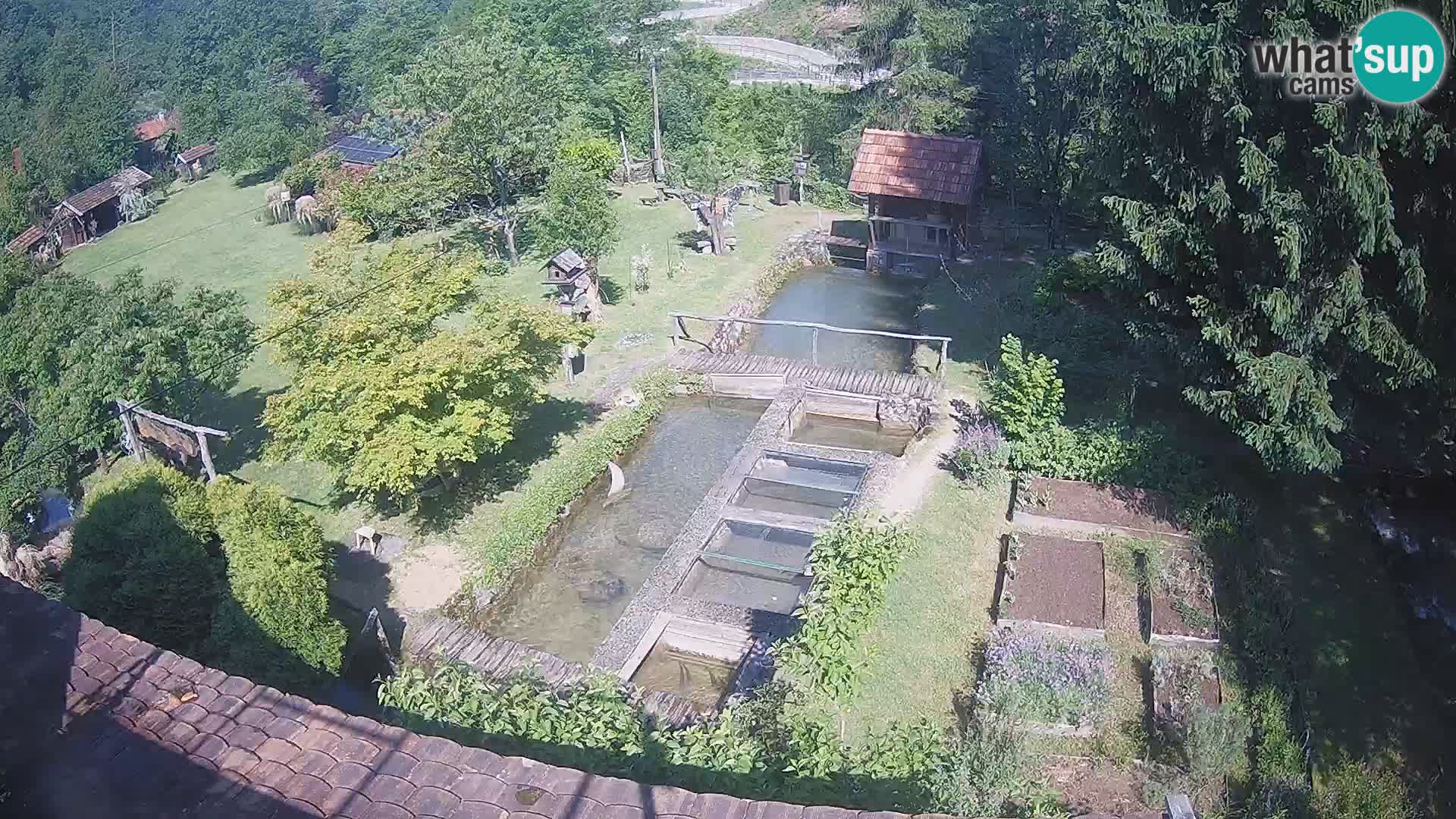 Live webcam Rastoke – river Slunjčica – Croatia