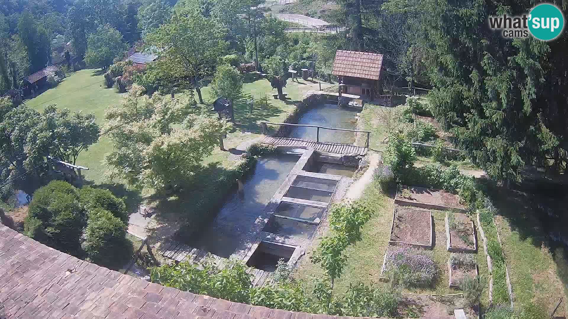 Live-Webcam Rastoke – Fluss Slunjčica – Kroatien