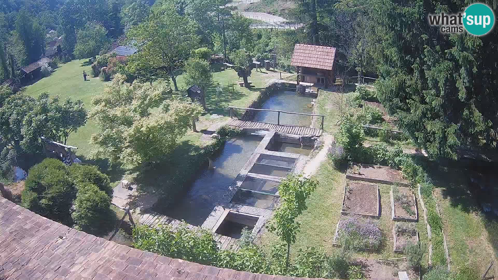 Live webcam Rastoke – river Slunjčica – Croatia