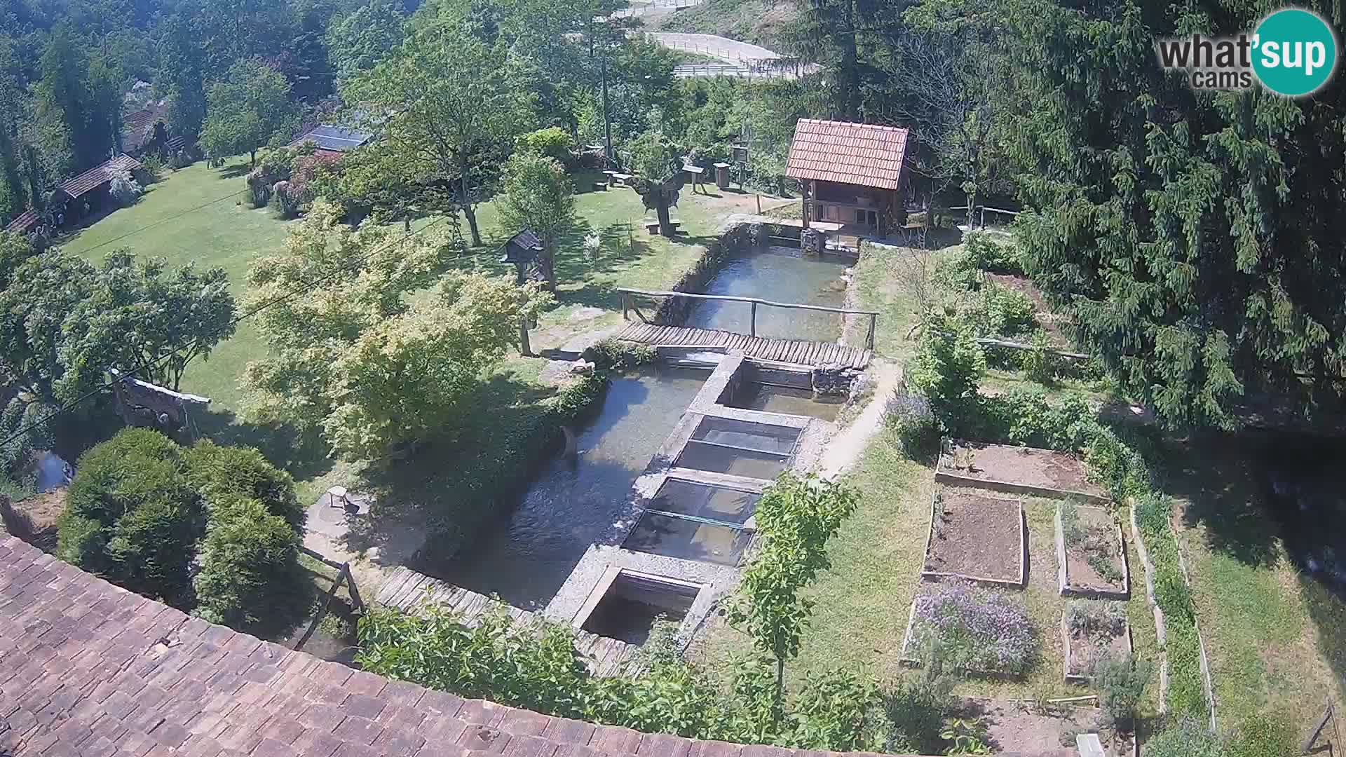 Spletna kamera v živo Rastoke – reka Slunjčica – Hrvaška