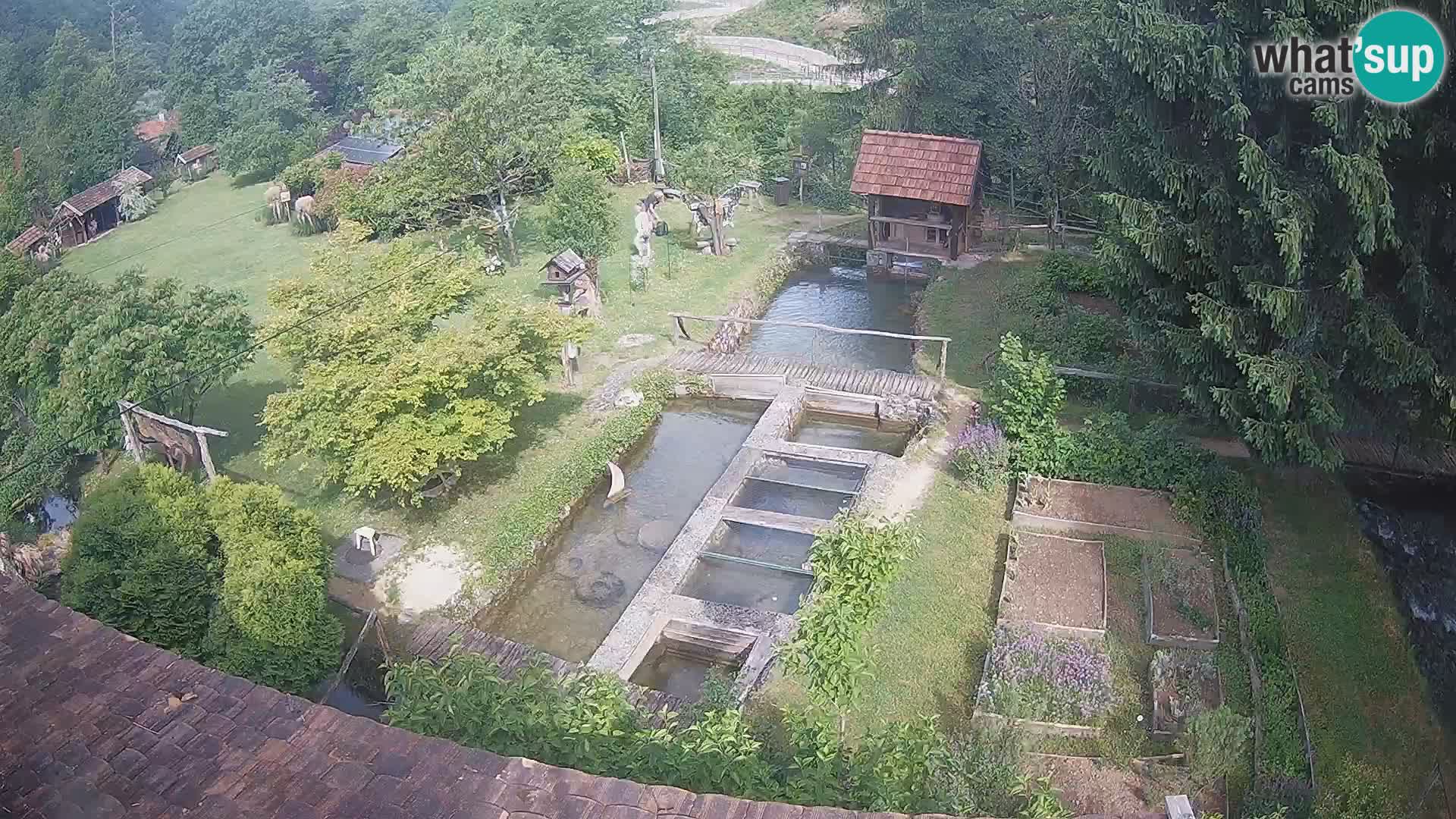 Live webcam Rastoke – river Slunjčica – Croatia