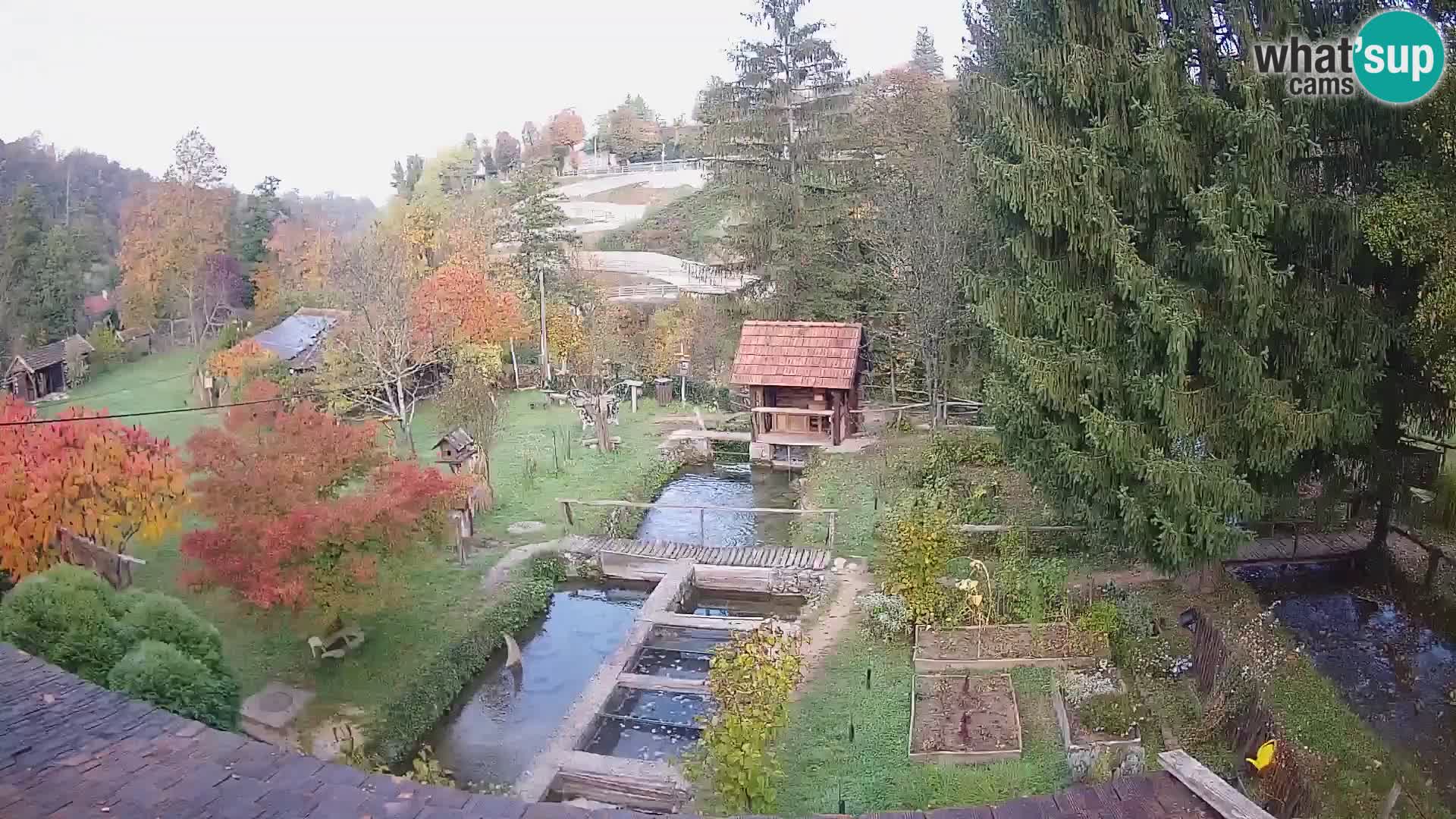 Live-Webcam Rastoke – Fluss Slunjčica – Kroatien