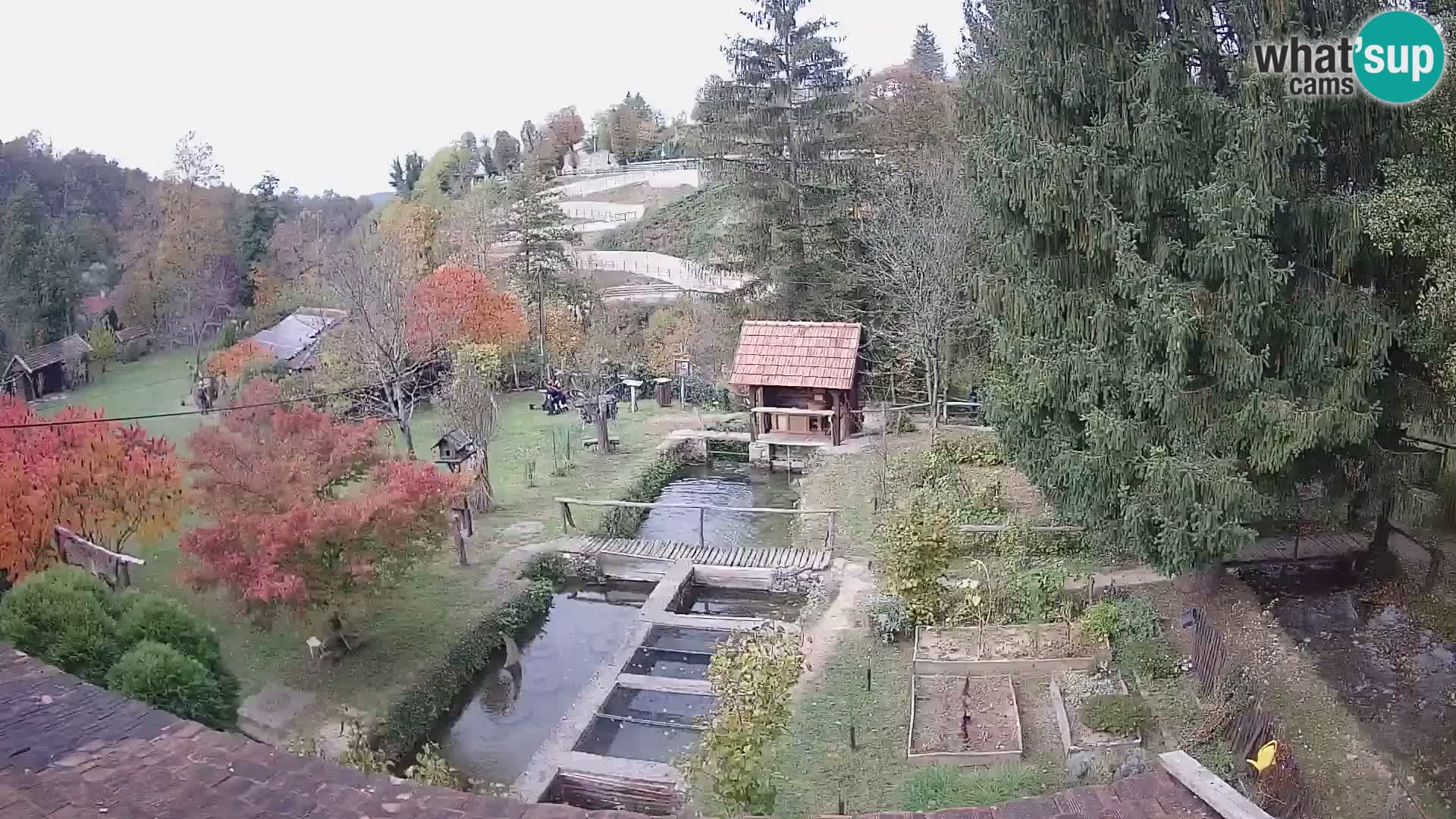 Cámara web en vivo Rastoke – río Slunjčica – Croacia