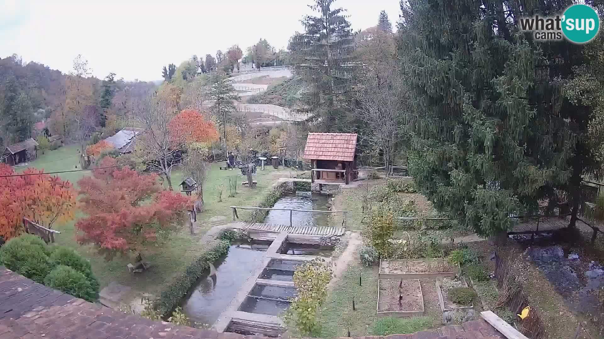 Live webcam Rastoke – river Slunjčica – Croatia
